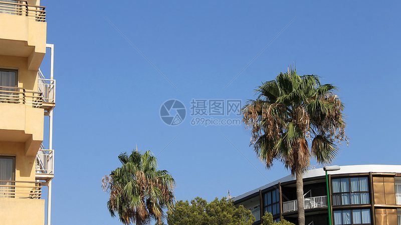 跟团游导游与私人导游：揭秘两者差异与服务特点
